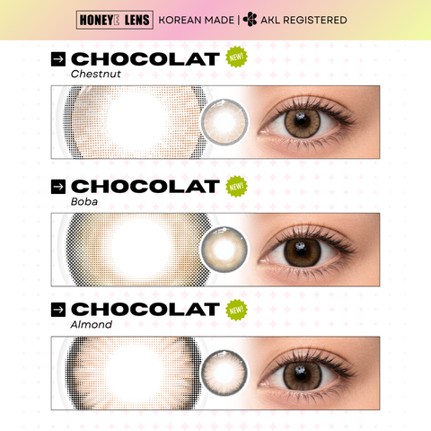 Chocolat Chestnut