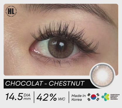 Chocolat Chestnut